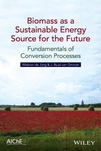 Biomass As A Sustainable Energy Source For The Future