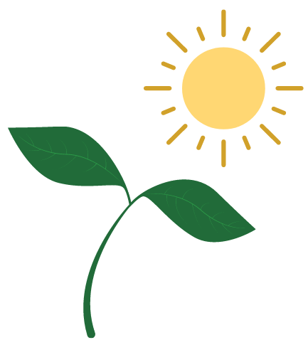 Biology Revision and Notes Energy Transfers Photosynthesis Vaia