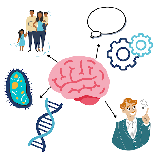 Psychology Revision and Notes Approaches Study Guides Vaia