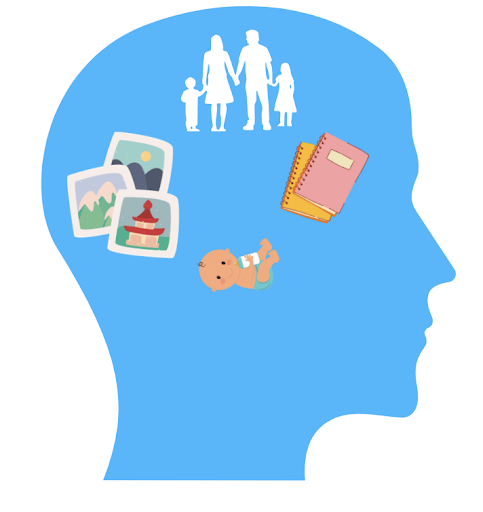 Psychology Revision and Notes Memory Study Guides Vaia